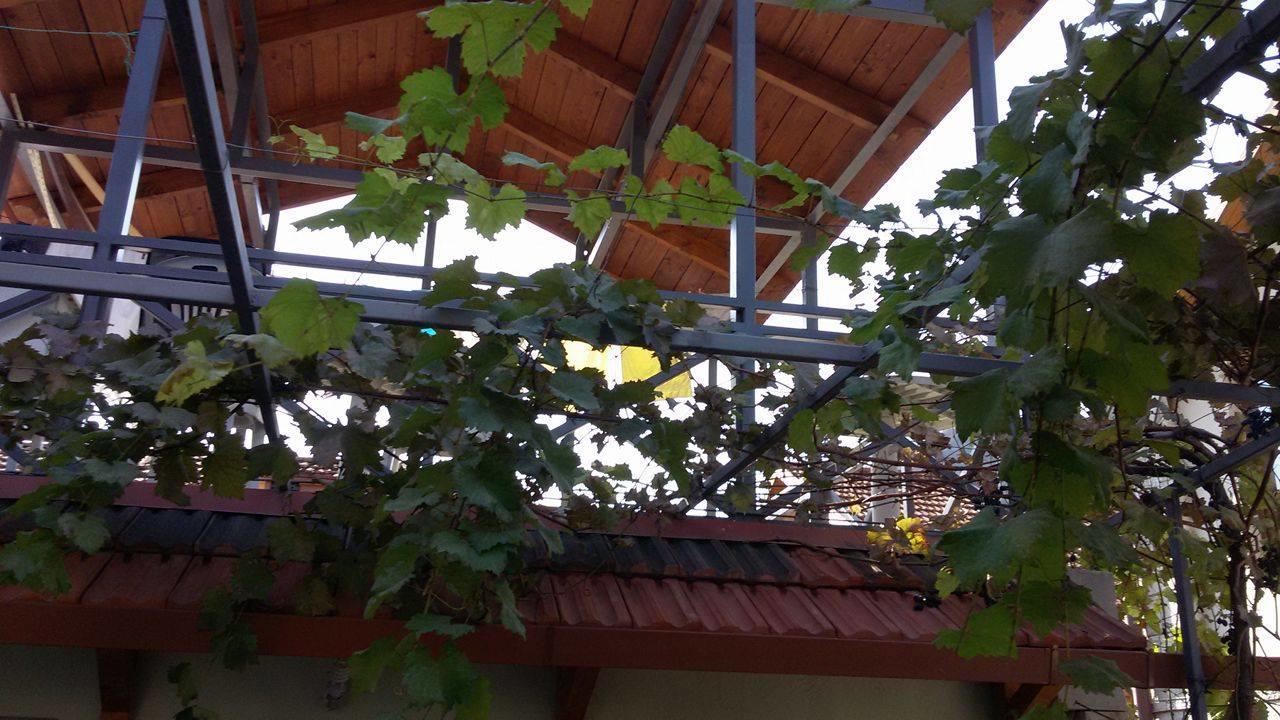Guesthouse 26 Mtsʼkhetʼa Εξωτερικό φωτογραφία