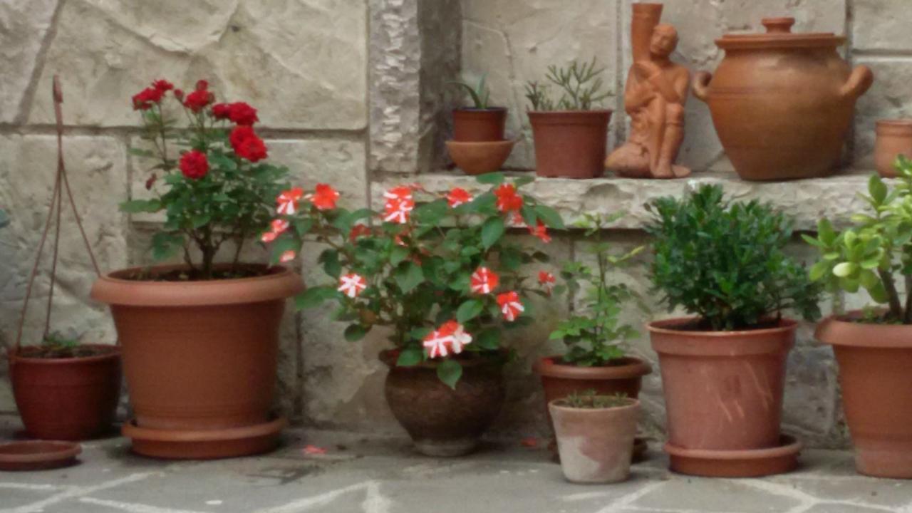 Guesthouse 26 Mtsʼkhetʼa Εξωτερικό φωτογραφία